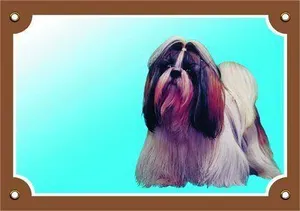 Farbschild Achtung Hund, Shi-Tzu